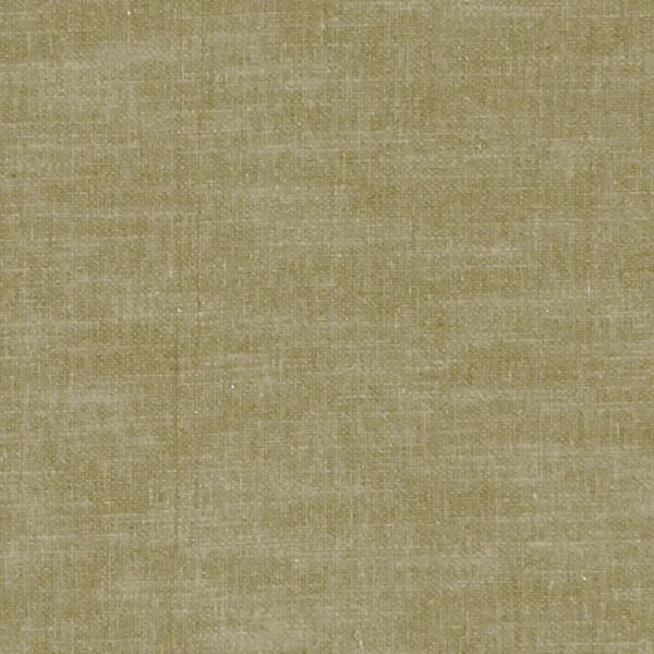 green plain woven fabric from Clarke & Clarke