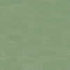 green plain woven fabric from Clarke & Clarke