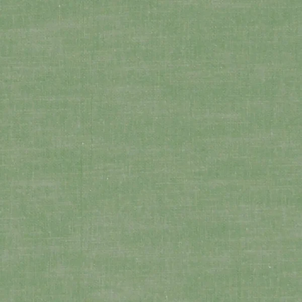 Amalfi Fabric - Palm by green plain woven fabric from Clarke & Clarke