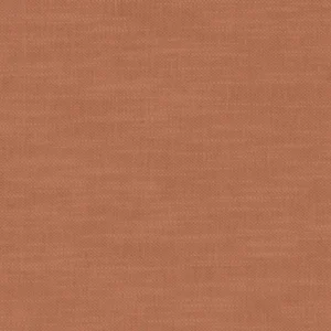 red plain woven fabric from Clarke & Clarke