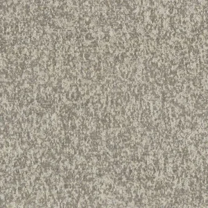 black-grey misc velvet-chenille fabric from Clarke & Clarke