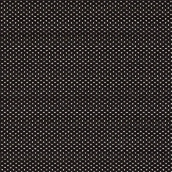 Pavo Fabric - Noir swatch
