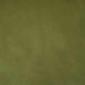 green plain velvet-chenille fabric from Ashley Wilde