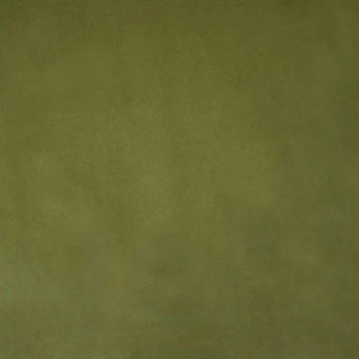 Alaska Fabric - Fern swatch