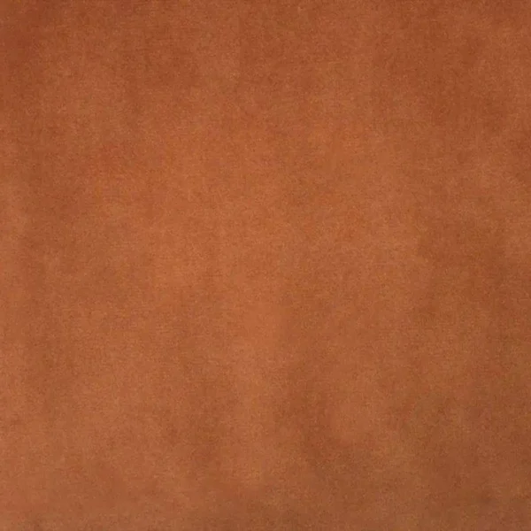 Alaska Fabric - Rust by blue plain velvet-chenille fabric from Ashley Wilde