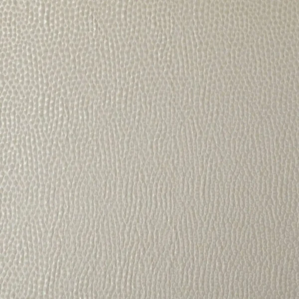 Taurus Fabric - Champagne by neutral misc jacquard fabric from Ashley Wilde