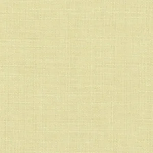white plain woven fabric from Clarke & Clarke