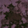 purple plain velvet-chenille fabric from Clarke & Clarke