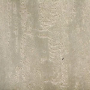 neutral plain velvet-chenille fabric from Clarke & Clarke