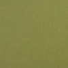 green plain woven fabric from Clarke & Clarke