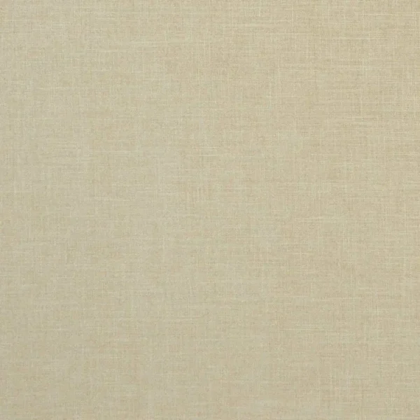Albany Fabric - Sand by neutral plain velvet-chenille fabric from Clarke & Clarke