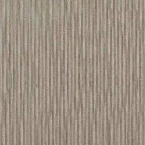 brown striped voile-sheer fabric from Clarke & Clarke