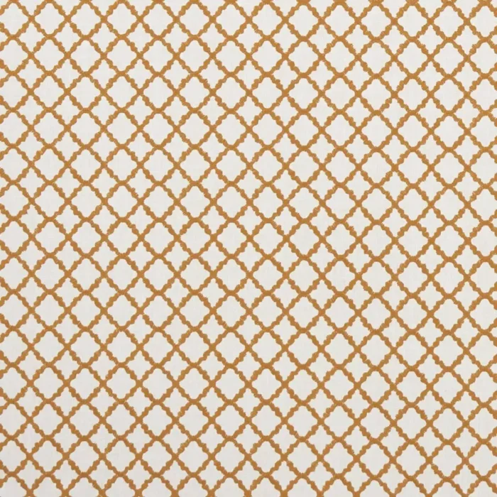 Ariyana Fabric - Spice swatch