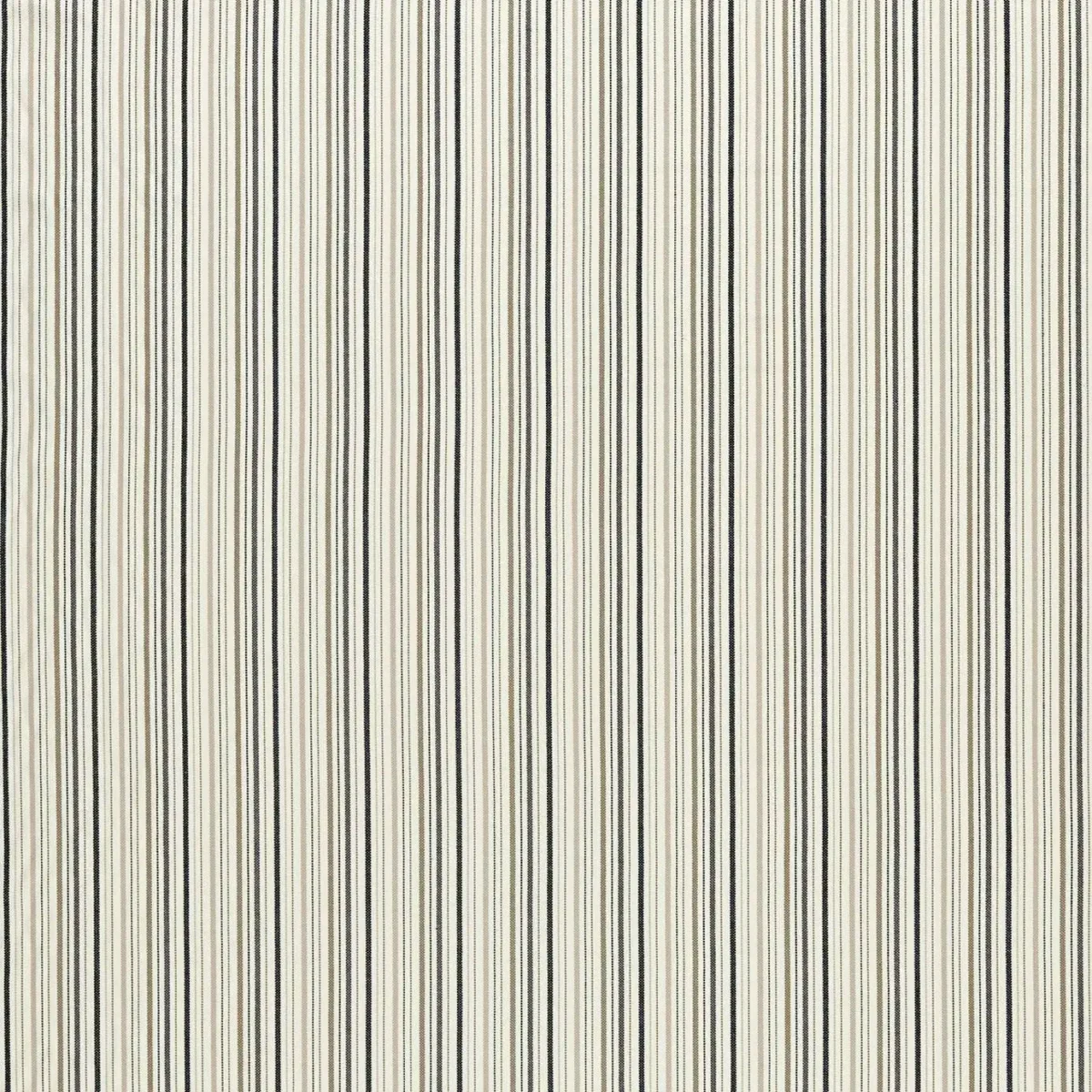 Maryland Fabric - Charcoal / Natural by black-grey striped cotton fabric from Clarke & Clarke