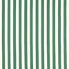 green striped cotton fabric from Clarke & Clarke