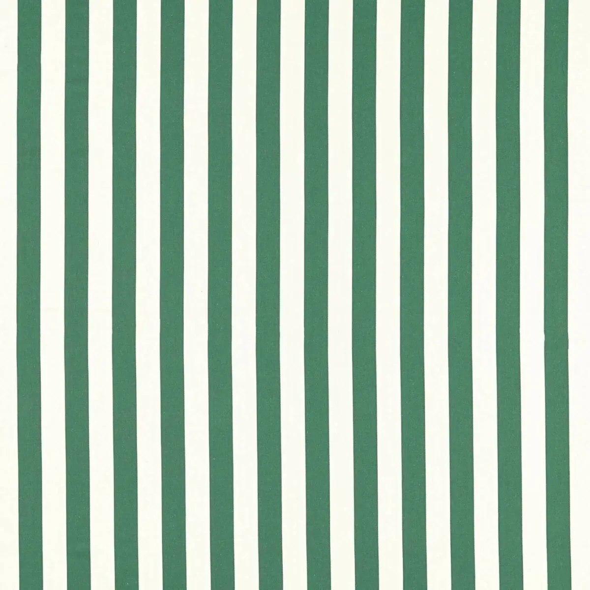 Portland Fabric - Racing Green by green striped cotton fabric from Clarke & Clarke