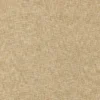 orange plain woven fabric from Clarke & Clarke