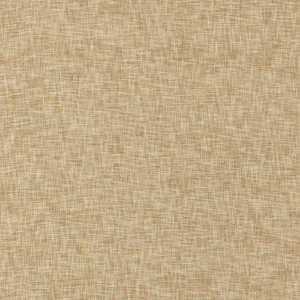 orange plain woven fabric from Clarke & Clarke