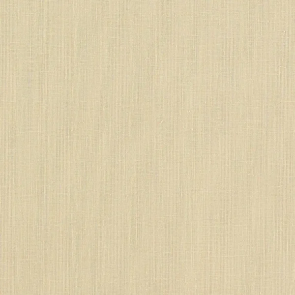 Remo Fabric - Raffia by neutral plain voile-sheer fabric from Clarke & Clarke