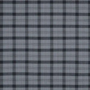 blue checked woven fabric from Ashley Wilde