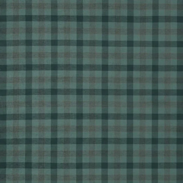 green checked woven fabric from Ashley Wilde