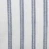 blue striped woven fabric from Clarke & Clarke