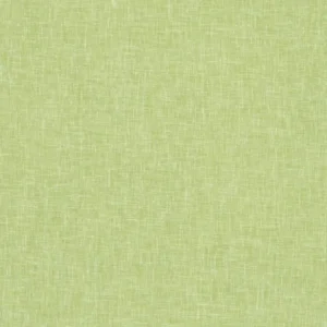 green plain voile-sheer fabric from Clarke & Clarke