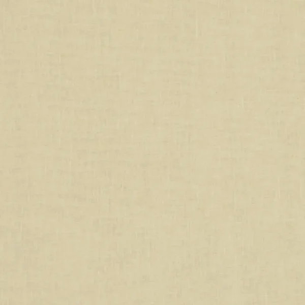 Midori Fabric - Bamboo by brown plain voile-sheer fabric from Clarke & Clarke