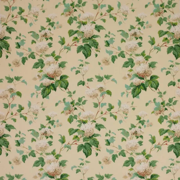 Chantilly Fabric - Cream by green botanical cotton fabric from Colefax & Fowler