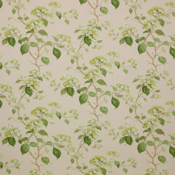 Summerby Fabric - Leaf Green by green botanical cotton fabric from Colefax & Fowler