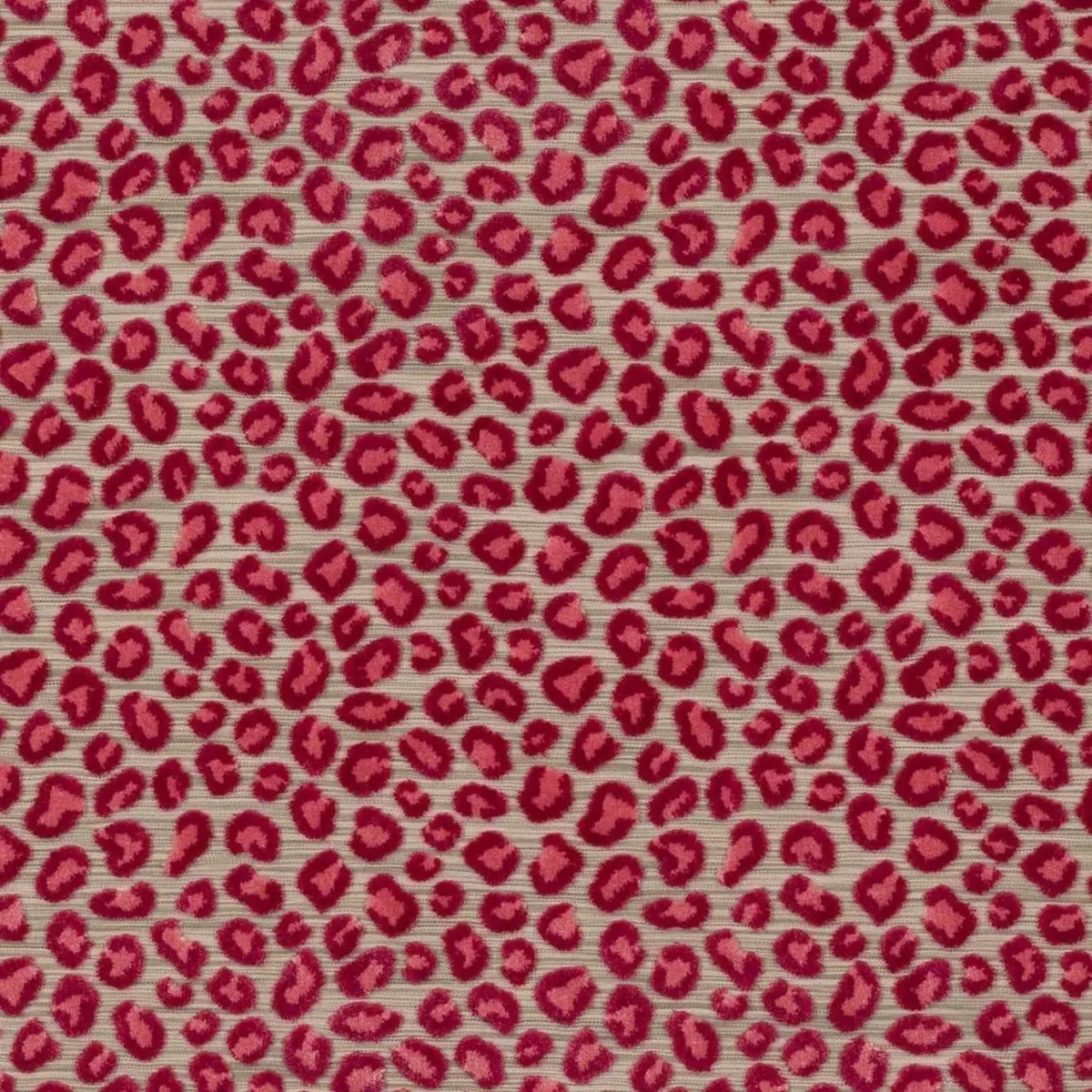 Wilde Fabric - Pink by pink animal velvet-chenille fabric from Colefax & Fowler