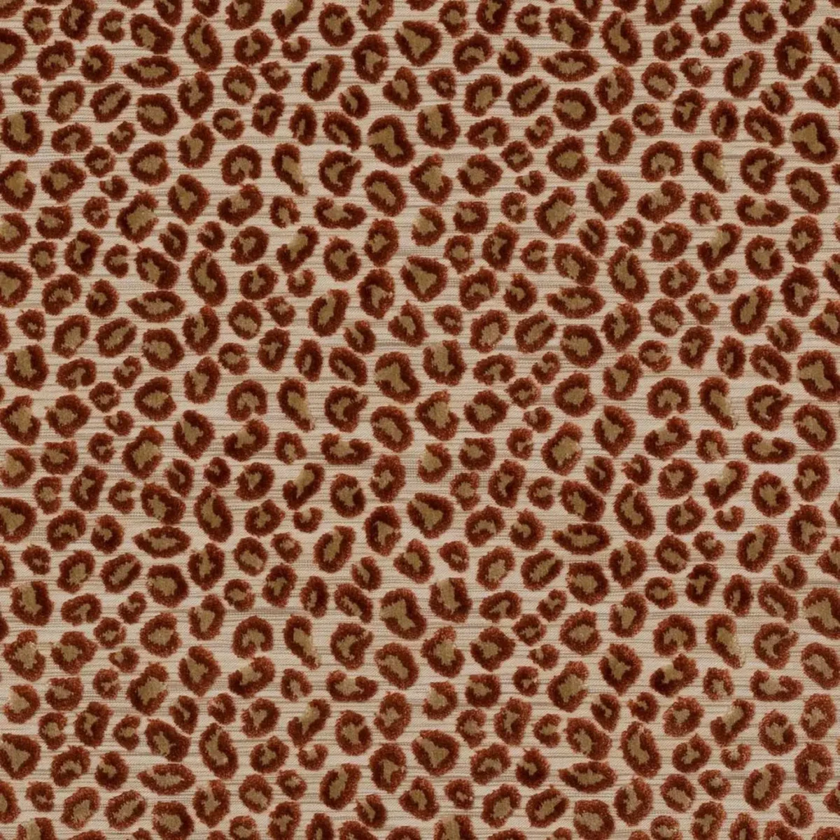 Wilde Fabric - Russet by orange animal velvet-chenille fabric from Colefax & Fowler