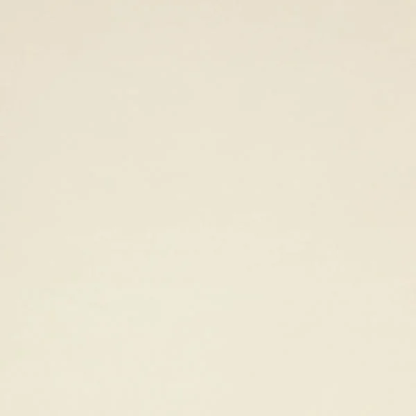 Lucerne Fabric - Pale Cream by brown plain silk-satin fabric from Colefax & Fowler