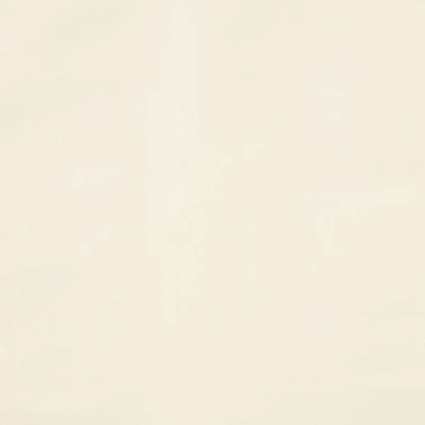 Lucerne Fabric - Oyster by white plain silk-satin fabric from Colefax & Fowler