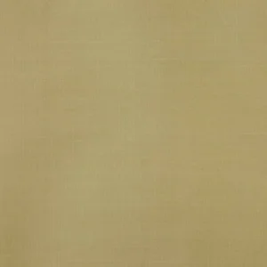 brown plain silk-satin fabric from Colefax & Fowler