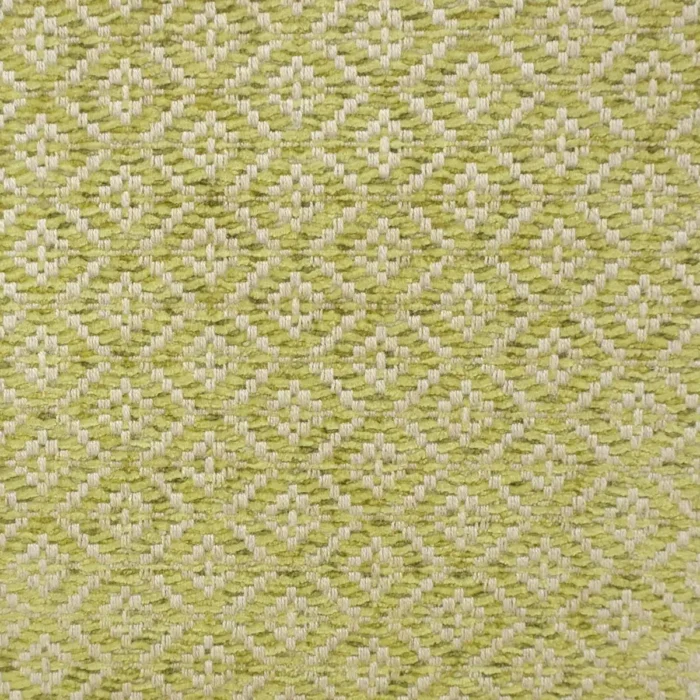 Kelston Fabric - Leaf fabric swatch F4222/03