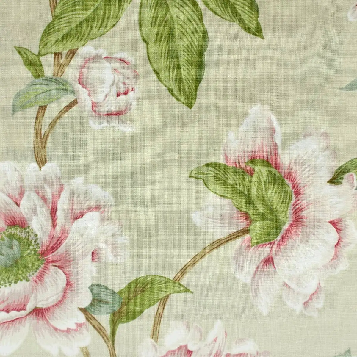 Giselle Fabric - Pink / Green by green botanical linen fabric from Colefax & Fowler