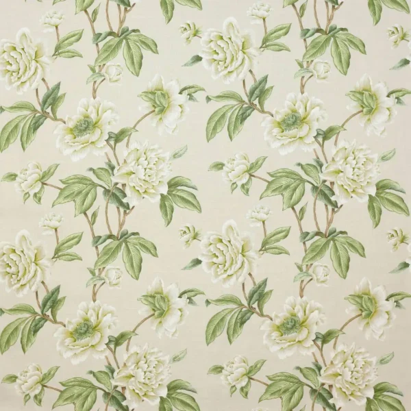 Giselle Fabric - Ivory by green botanical linen fabric from Colefax & Fowler