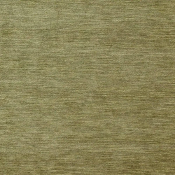Caron Fabric - Leaf by green plain jacquard fabric from Colefax & Fowler