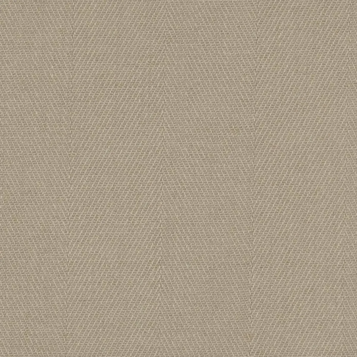Brynne Fabric - Bone by black-grey misc cotton fabric from Colefax & Fowler