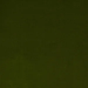 green plain velvet-chenille fabric from Colefax & Fowler