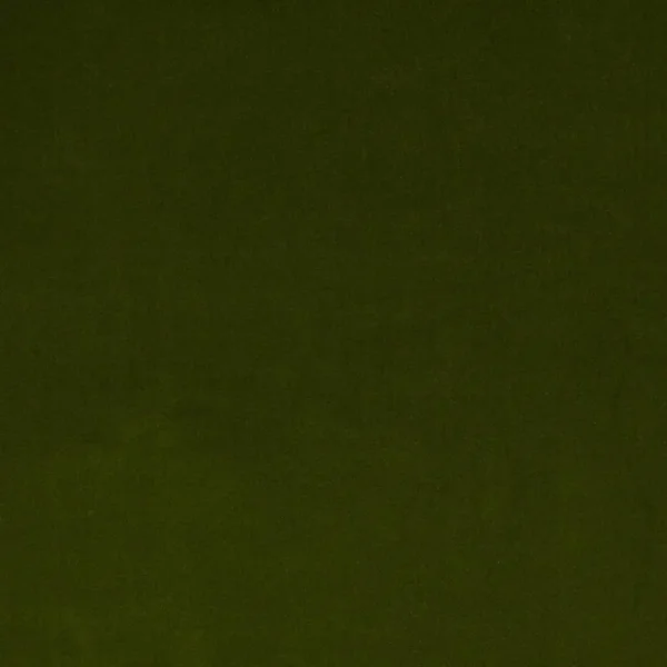 Dante Fabric - Green by green plain velvet-chenille fabric from Colefax & Fowler