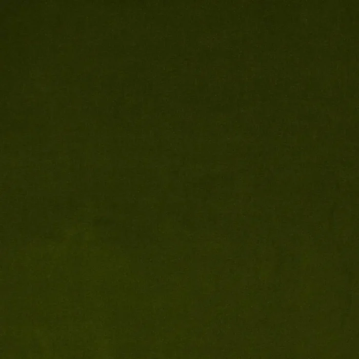 Dante Fabric - Green swatch