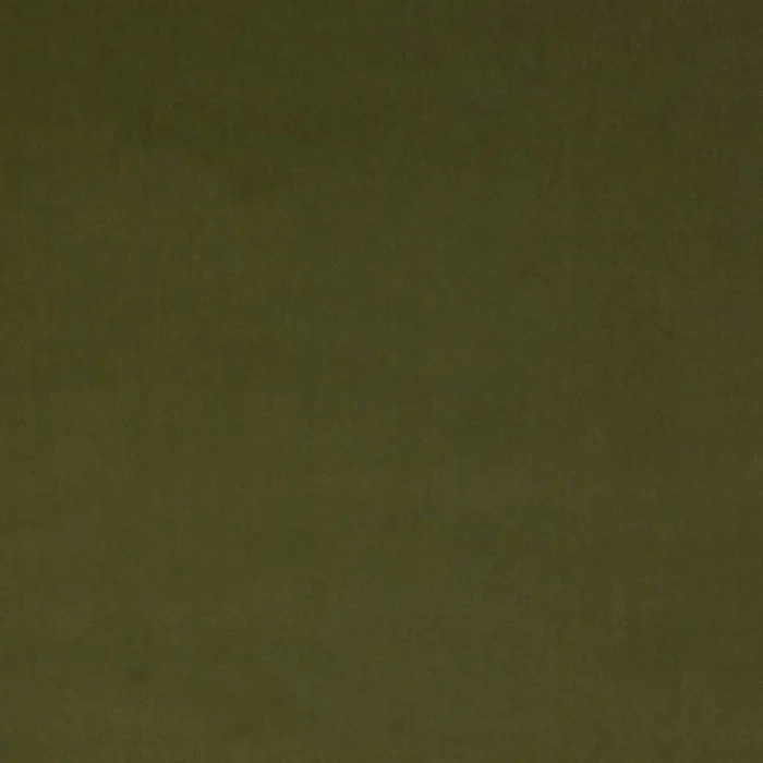Dante Fabric - Olive swatch