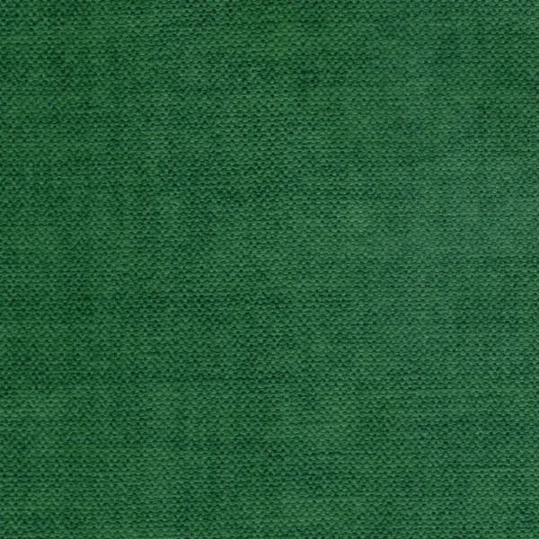 green plain velvet-chenille fabric from Cristina Marrone