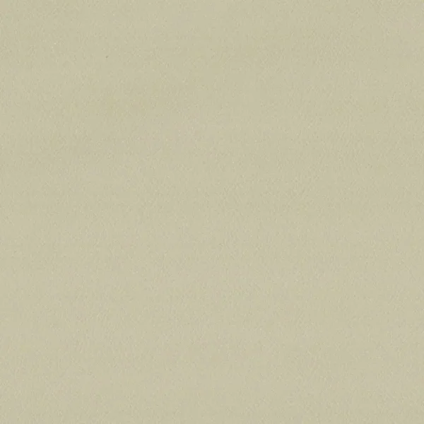 Enduro Fabric - Wicker by white plain misc fabric from Cristina Marrone