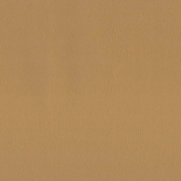brown plain misc fabric from Cristina Marrone