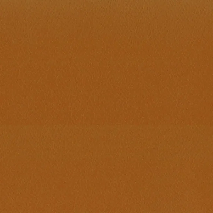 Enduro Fabric - Spice fabric swatch END3141