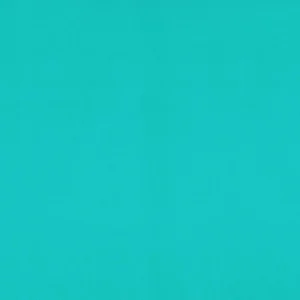 blue plain misc fabric from Cristina Marrone