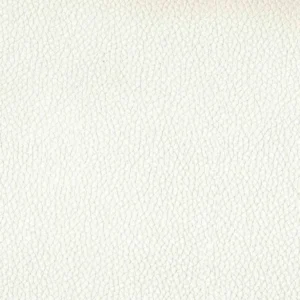 white plain misc fabric from Cristina Marrone